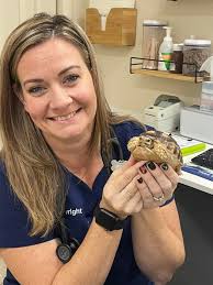 First pic is when he was 3 month old. The second pic he's 6 months old.  He's alot bigger than his sister already and only half done growing.