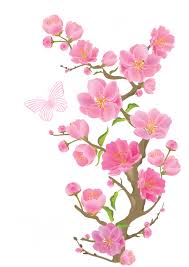All images is transparent background and free download. Spring Branch With Butterflies Png Clipart Picture Flower Art Flower Clipart Floral Art