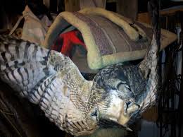 Lauras Birding Blog: 2010