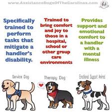 Pin By Brittany Buck On Causes Service Dogs Emotional Support Dog Therapy Dogs