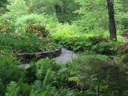 Designing plant communities for resilient landscapes. Natural Landscape With Thomas Rainer