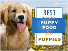 7 Best Puppy Foods Our 2019 Puppy Feeding Guide