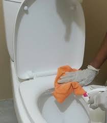Unless you lift the lid and peer inside, you won't see the rust rings, scale and bacterial growth that affect every tank, given enough time. Are You Cleaning Your Toilet Bowl Correctly Ima