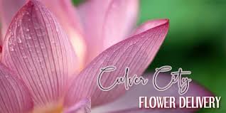 Culver city sister city committee. The 8 Best Options For Flower Delivery In Culver City 2021