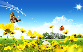 Download our free software and turn videos into your desktop wallpaper! Nature Flower Wallpapers Wallpaper Cave