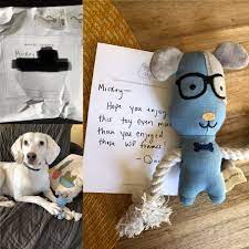 Pin On Dog Pictures