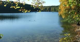 Schlachtensee Escape From The Summer Heat Taking A Dip In One Of The Most Popular Lakes Near Berlin Only Takes You A Short Berlin Germany Berlin Summer Heat