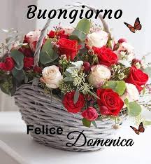 Pin Di Nadia Su Buona Domenica Composizioni Floreali Foto Di Fiori Orticultura