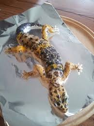 A leopard can't change its spots. Fondant Leopard Gecko Lego Party Kids Birthday Party I Foods