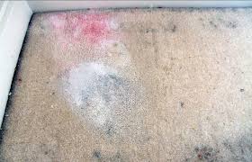 You've got questions, and we've got answers. How Get Rid Of Fleas In House Fast Choice Home Warranty