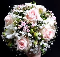 82 515 tykkäystä · 3 549 puhuu tästä · 1 831 oli täällä. Blumen Oase Sottrum Galerie Hochzeitsfloristik