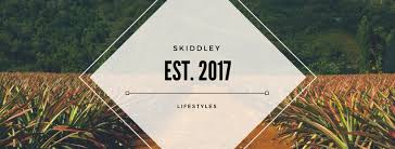 How to accept your food decisions on the road to a healthy lifestyle Lifestyle Cycles Skiddley