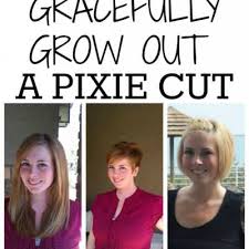 Once your hair grows out a bit more, it may still be too short for a ponytail. Growing Your Hair Out Gracefully Hair Cuts Tip Junkie
