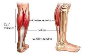 The leg cramps are the first cause of the pain in tendon behind knee. Tendon Injuries Advance Physiotherapy