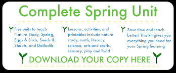 There are 3 big things to teach in this stage Spring Literacy Activities That Are Fun Nurturestore
