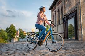 Excelsior 2021 Neue E Bikes Fur Individualisten In 2020 Pedelec Fahrrad Retro