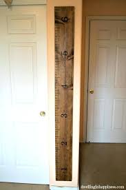 Wood Ruler Growth Chart Pakchatroom Co