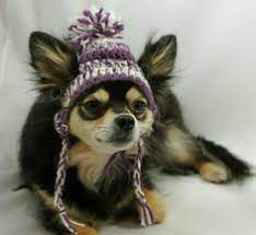 Dog Hat With Ear Holes Free Crochet Pattern Google Search Crochet Dog Hat Crochet Dog Clothes Crochet Dog Sweater