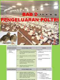We did not find results for: Bab 2 Pdp Poltri