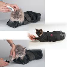 How often should i groom my cat? The Hair Raising Truth About Grooming Cats Petedge