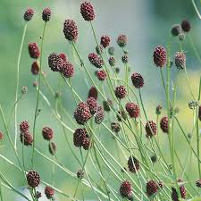 Image result for site:byggahus.se grus odlingslådor