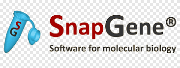 Mymemory, world's largest translation memory. Logo Jpn Jabatan Pendaftaran Negara Organization Brand Font Genetically Modified Crops Problems Text Logo Png Pngegg