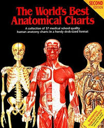 the worlds best anatomical charts by various