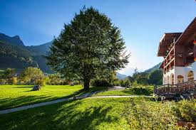 Get commercial landscaping services from a skilled crew of experts. International Day Of Forests Trees For All Green Travel Blog