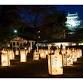 Matsue Water Light Road event image