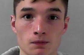 Mechanic jailed for killing man in customer's car