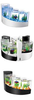 Join the family become a cuffaro n smash the subscribe button. Aquariums And Tanks 20755 Triple Betta Tank Set Up Aquarium Fish Waterfall Centerpiece Desktop Display New Buy It Now Only 49 99 On Ebay