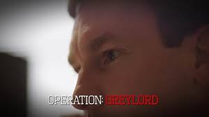 Deep Undercover (TV Series 2016– )