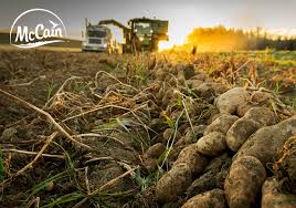 Meet The King Of Canadian Potatoes