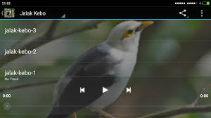 Posted by satriya at 7:02 am. Full Kicau Burung Jalak For Android Apk Download