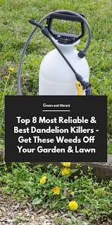 Top 8 Most Reliable Best Dandelion Killers Get These Weeds Off Your Garden Lawn Lawn Dandelion Amazing Gardens