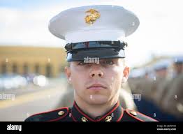 Bradley a hi-res stock photography and images