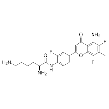 Choose your access option (information here) and provide our phone number (08) 9227 4200 when asked by the relay officer. Hif Signaling Pathway Hif 1 Alpha Inhibitors Hif Inhibitor