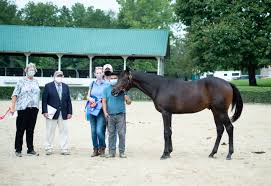 Information and translations of causin in the most comprehensive dictionary definitions resource on the web. 2019 Causin Commotion Colt Takes Grand Champion Honors At Virginia Yearling Futurity Virginia Thoroughbred Association