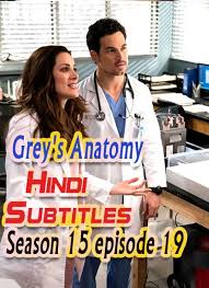 Grey S Anatomy Season 15 Episode 19 Hindi Subtitle Greys Anatomy Season Greys Anatomy Subtitled