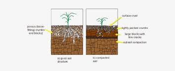 We did not find results for: Organic Soil Solutions Soil Compaction Core Transparent Png 567x260 Free Download On Nicepng