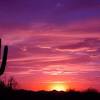 Wupatki and sunset crater national monuments tour from phoenix. Https Encrypted Tbn0 Gstatic Com Images Q Tbn And9gcswr Lgftc5zsa2 H9ay3 Tabymlguxkeyr Btfzre2przkzvxi Usqp Cau