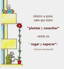 Cosechamos Lo Que Sembramos Y Cada Cosecha Tiene Su Tiempo De Crecimiento Y D Frases Bonitas De Motivacion Frases Hermosas Para Compartir Mensaje De Motivacion