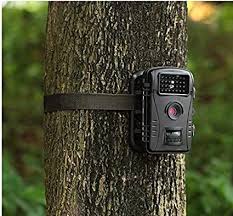 Alterdj Wildkamera 12mp 720p Wifi Mit Bewegungsmelder Nachtsicht Wildlife Jagdkamera Wildtierkamera Mit Nachtsichtbewegung Wasser Bewegungsmelder Kamera Jagd