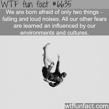 We Are Born Afraid Of These Two Things Wtf Fun Facts Funny Facts Fun Facts Wtf Fun Facts