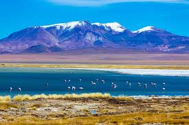It is located east of antofagasta, some 106 km so. Atacama Salzwustentour Von San Pedro De Atacama Mit Los Flamencos 2021 Tiefpreisgarantie