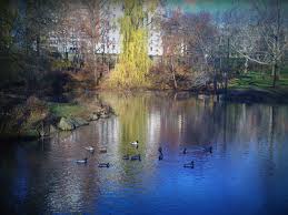 Do not enter the pond if you or anyone you have been around (including family or friends) has been sick you are not required to enter the pond. The Central Park Pond A Tranquil Escape Visit The Central Park Duck Pond On A Bike Tour With Us Book Online And Save
