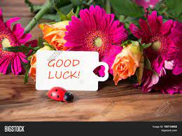We did not find results for: Flowers Greeting Card Image Photo Free Trial Bigstock