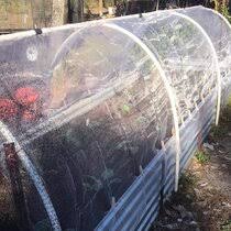 We did not find results for: Rabbit Fence Wayfair