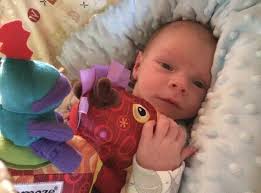 Daily Post Little Lives campaign