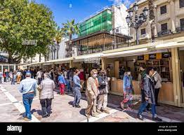 Huelva, Spagna - 24 aprile 2022: Folla di persone che visitano l'edizione  46th della Fiera del Libro situata nella piazza centrale di Plaza de las  Monjas (Piazza della N Foto stock - Alamy